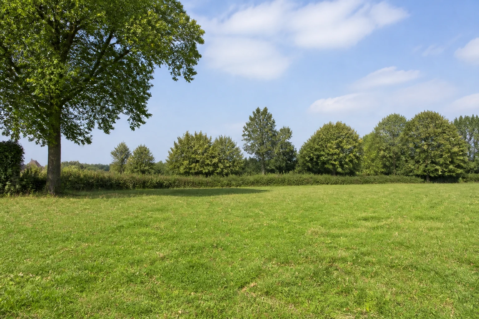 Unbebautes Grundstück mit Wiese und gewachsenem Baumbestand